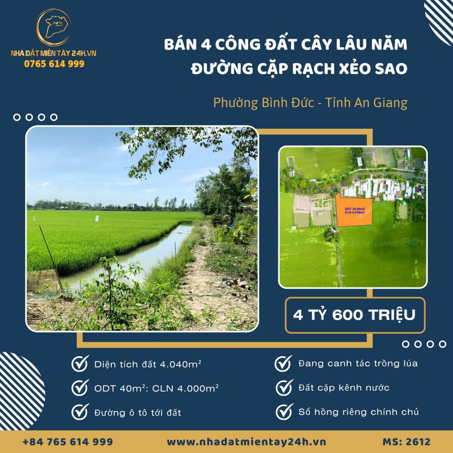 BÁN 4040M2 ĐẤT CÂY LÂU NĂM TẠI PHƯỜNG BÌNH ĐỨC, AN GIANG (MS: 2612)