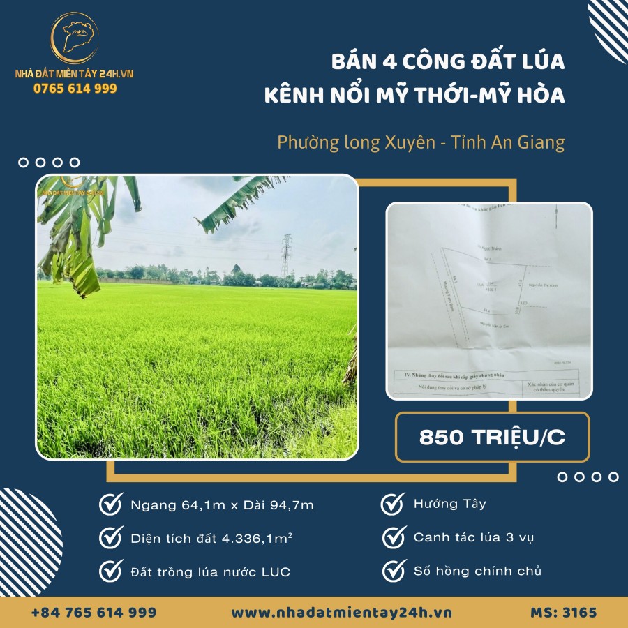 🌾 BÁN HƠN 4 CÔNG ĐẤT LÚA TẠI PHƯỜNG LONG XUYÊN, AN GIANG (MS: 3165) 🌾
